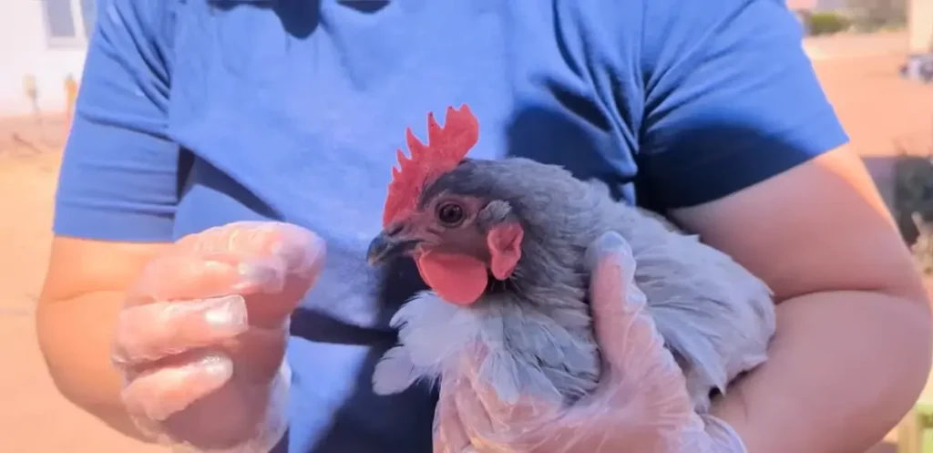 Partnership, Not Domination