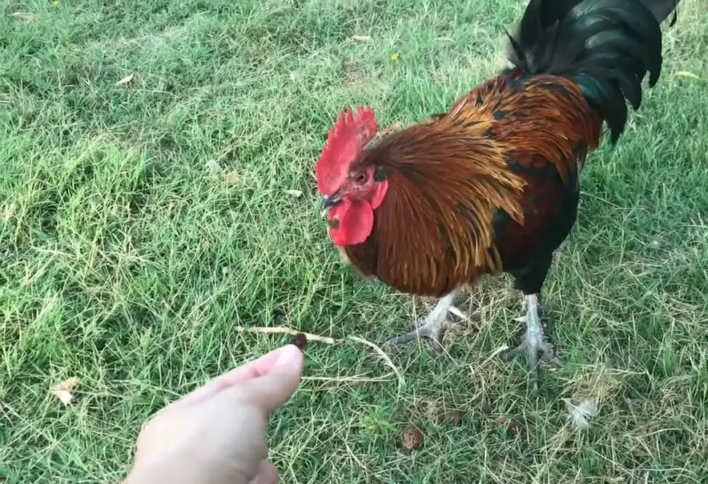 Why periodic retraining is natural