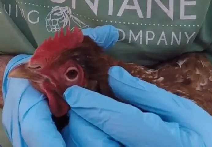 The Importance of Early Treatment