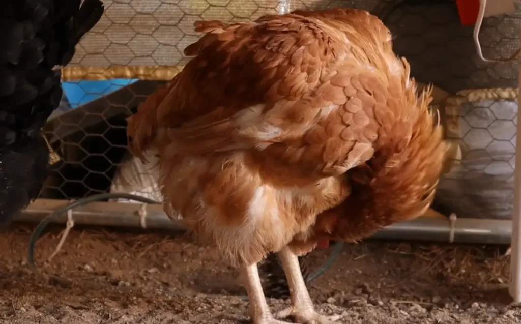 Treatment and Prevention